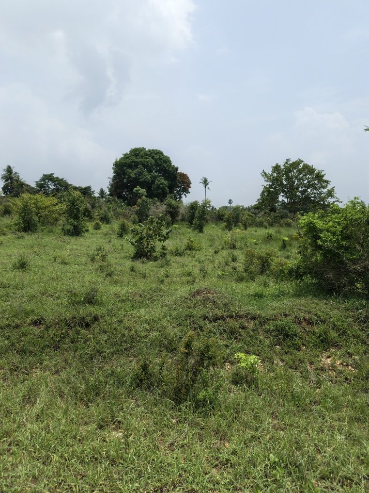 0-3048x4064-0-0-{}-0-24#bokehtype:0#;ts:453974312351045;appts:1773651731373;qlty:1;illum:2 scene:0 humanIn:0;