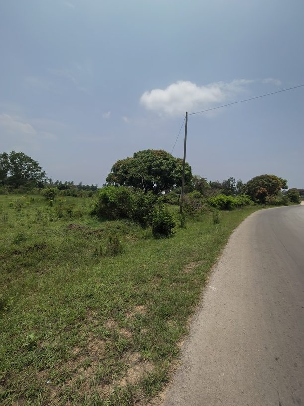 0-2448x3264-0-0-{}-0-24#bokehtype:0#;ts:453984425337000;appts:1773651740223;qlty:1;illum:0 scene:0 humanIn:0;