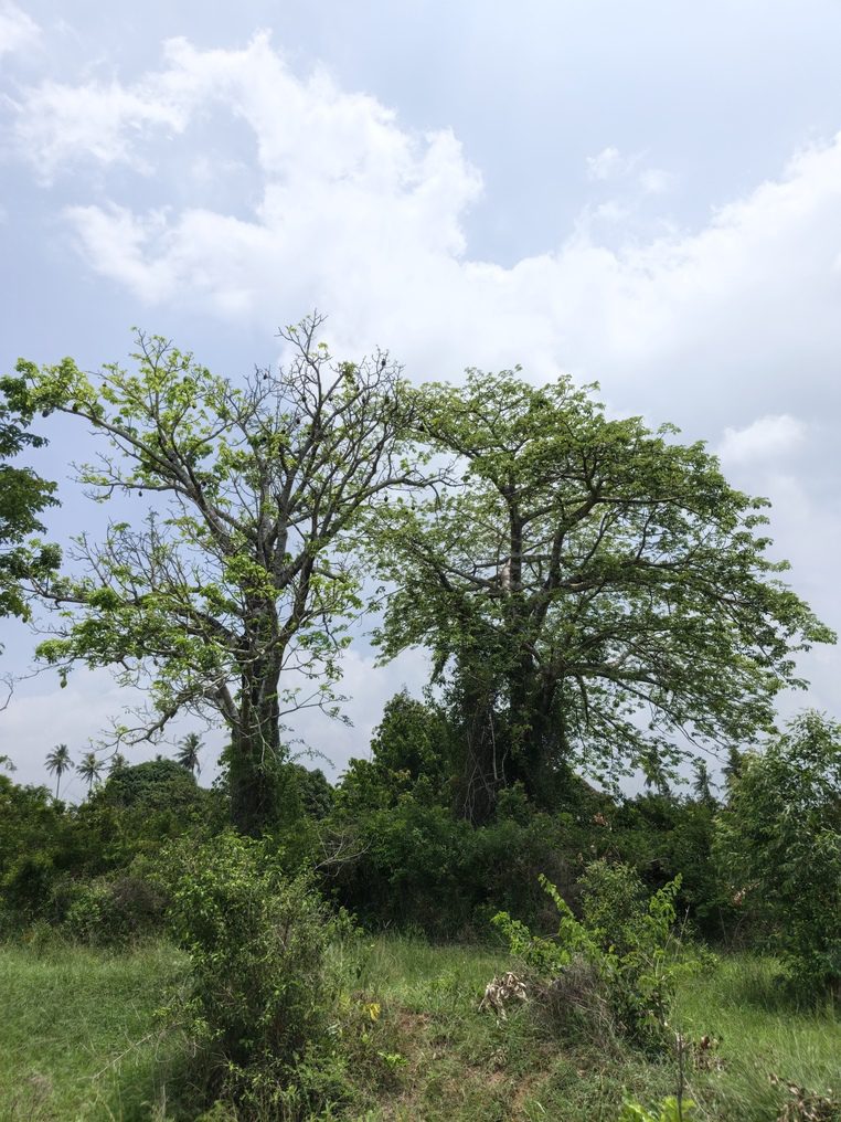 0-3048x4064-0-0-{}-0-24#bokehtype:0#;ts:454030321722124;appts:1773651795403;qlty:1;illum:2 scene:0 humanIn:0;