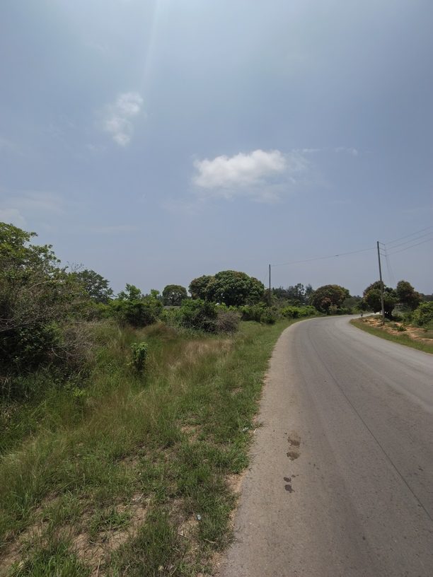 0-2448x3264-0-0-{}-0-24#bokehtype:0#;ts:454043121006000;appts:1773651803072;qlty:1;illum:2 scene:0 humanIn:0;