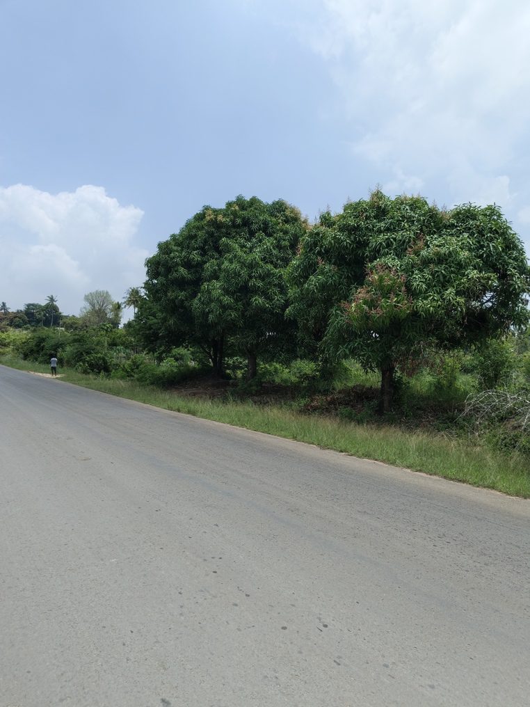 0-3048x4064-0-0-{}-0-24#bokehtype:0#;ts:454100042929205;appts:1773651862005;qlty:1;illum:2 scene:0 humanIn:0;