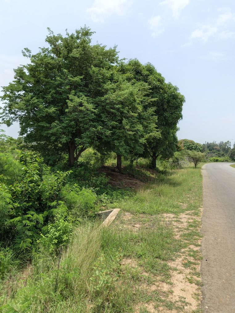 0-3048x4064-0-0-{}-0-24#bokehtype:0#;ts:454128504839668;appts:1773651895112;qlty:1;illum:2 scene:0 humanIn:0;