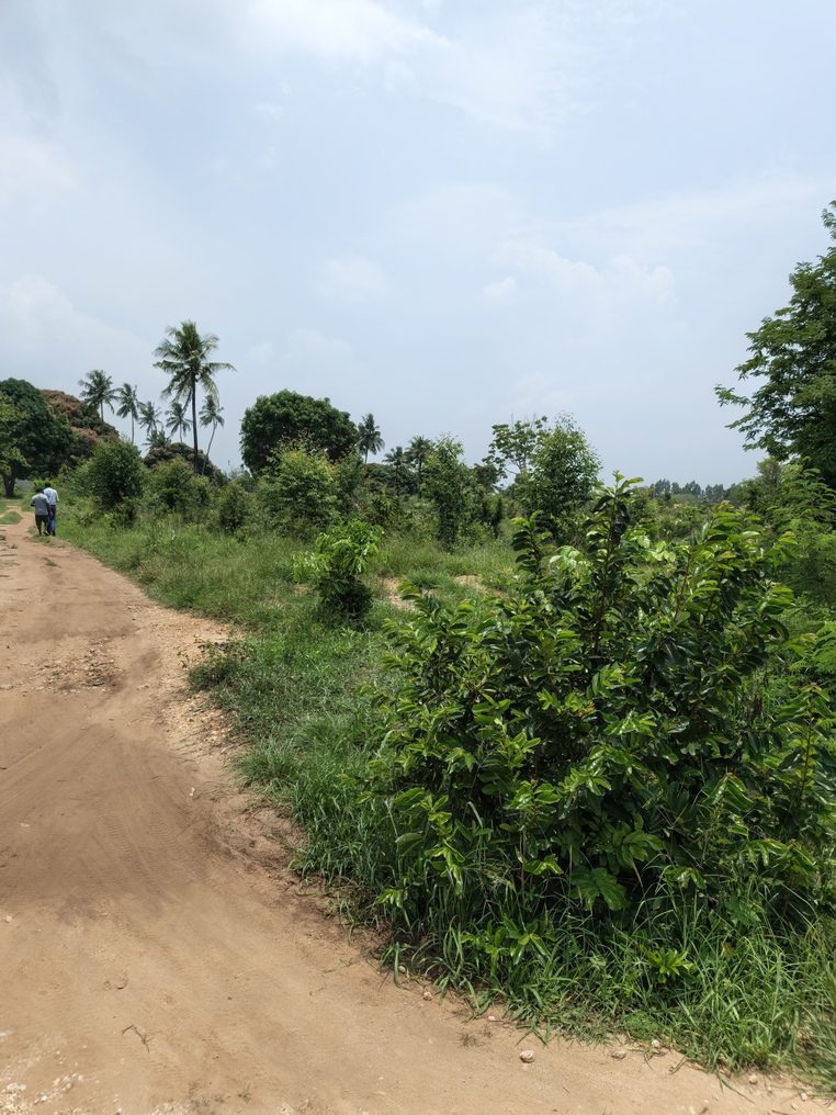 0-3048x4064-0-0-{}-0-24#bokehtype:0#;ts:454139648582000;appts:1773651900799;qlty:1;illum:2 scene:0 humanIn:0;